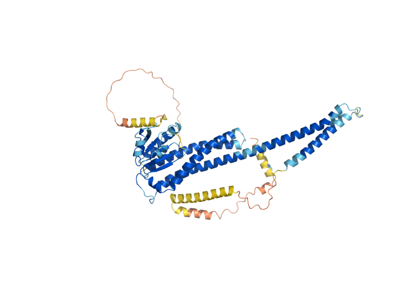 AlphaFold predicted structure of MRS2