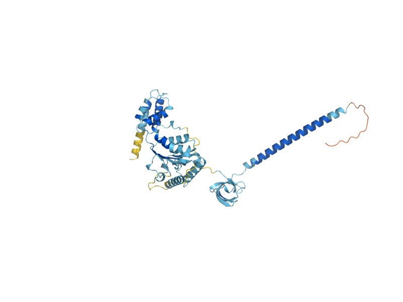 AlphaFold predicted structure of RPT6