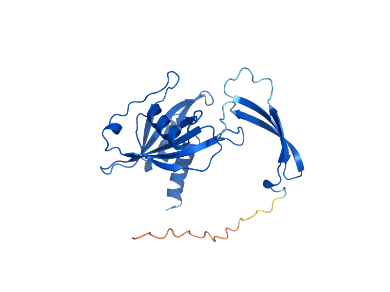 AlphaFold predicted structure of YSA1