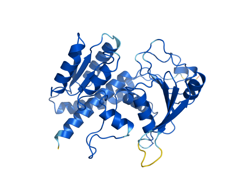 AlphaFold predicted structure of MTD1