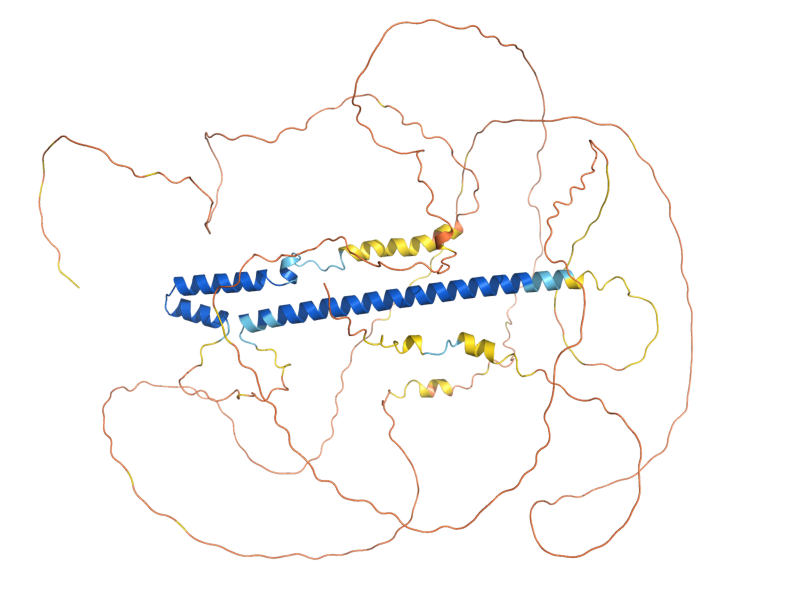 AlphaFold predicted structure of SKO1