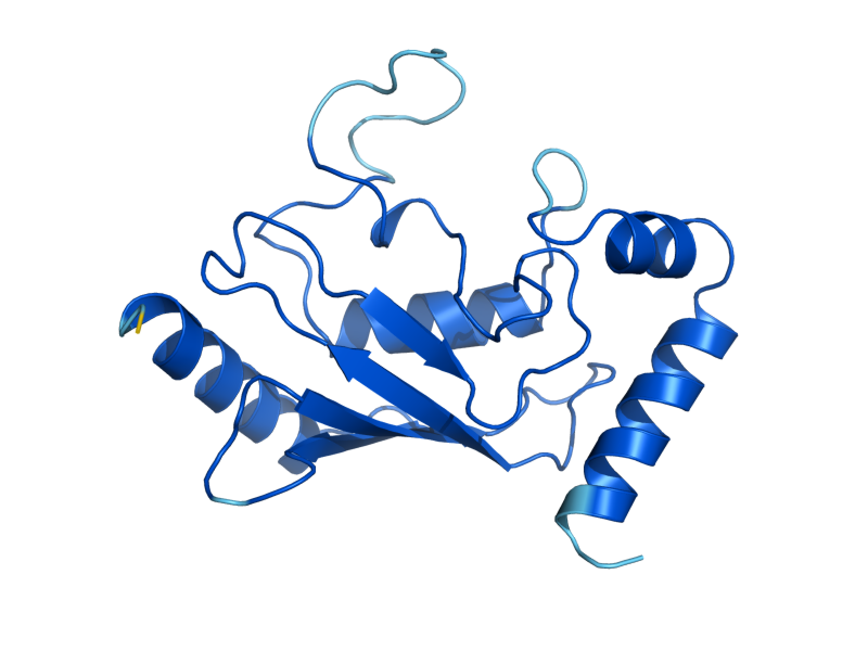 AlphaFold predicted structure of UBC7