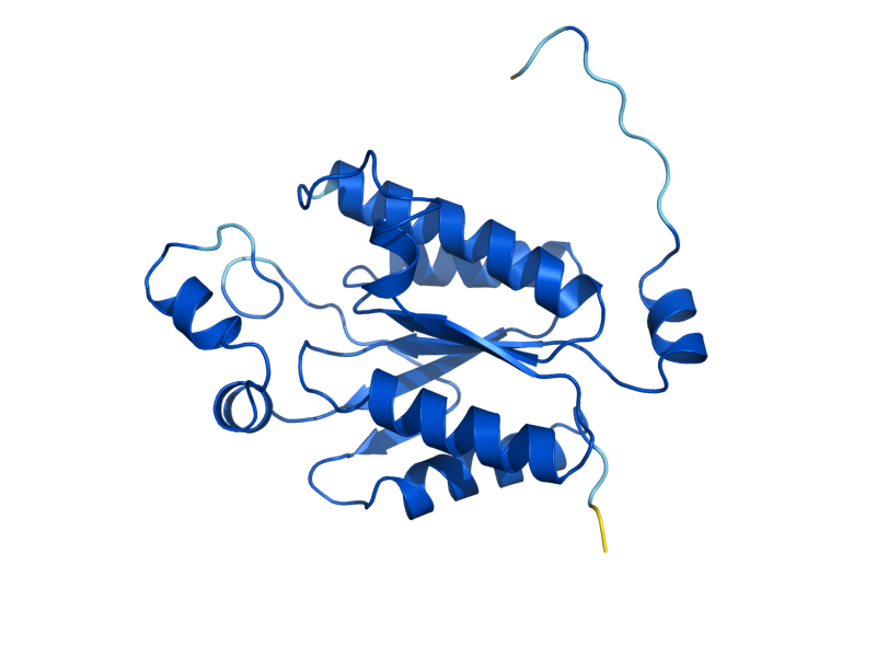 AlphaFold predicted structure of MET14