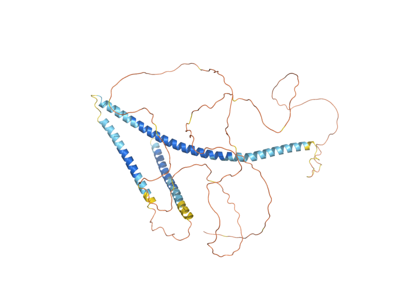 AlphaFold predicted structure of NUP49
