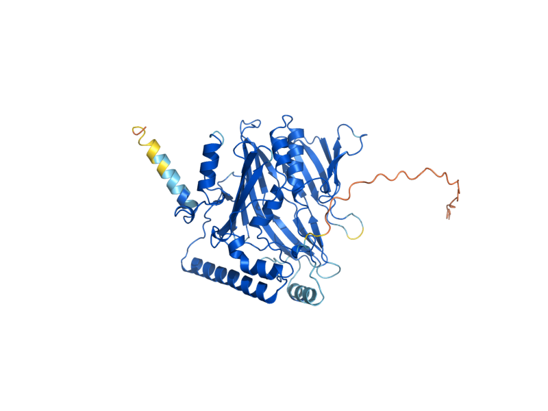 AlphaFold predicted structure of OSH6
