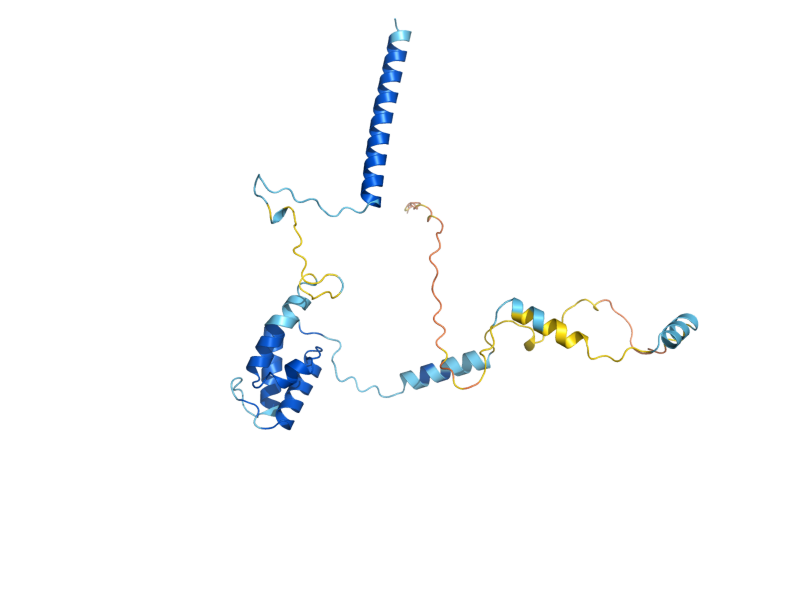 AlphaFold predicted structure of MRPL13