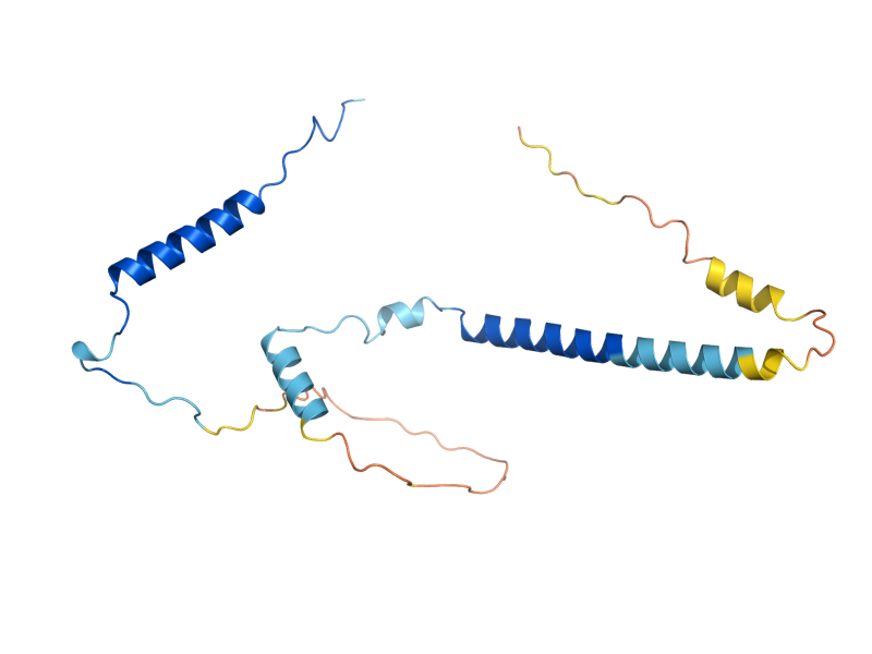 AlphaFold predicted structure of MEH1