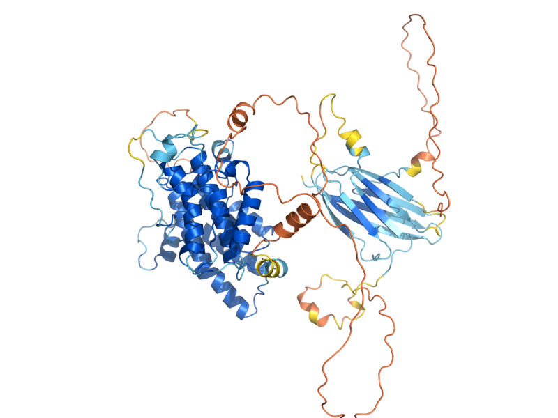 AlphaFold predicted structure of RSC4