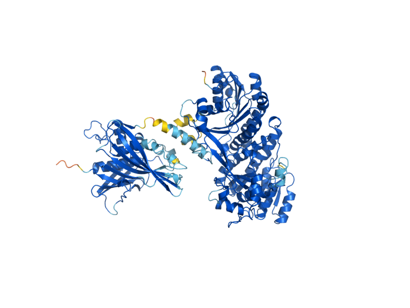 AlphaFold predicted structure of FOX2