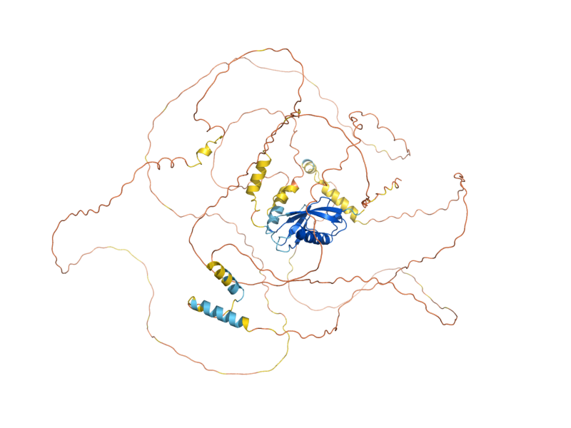 AlphaFold predicted structure of TOF2