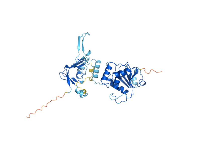 AlphaFold predicted structure of YVH1