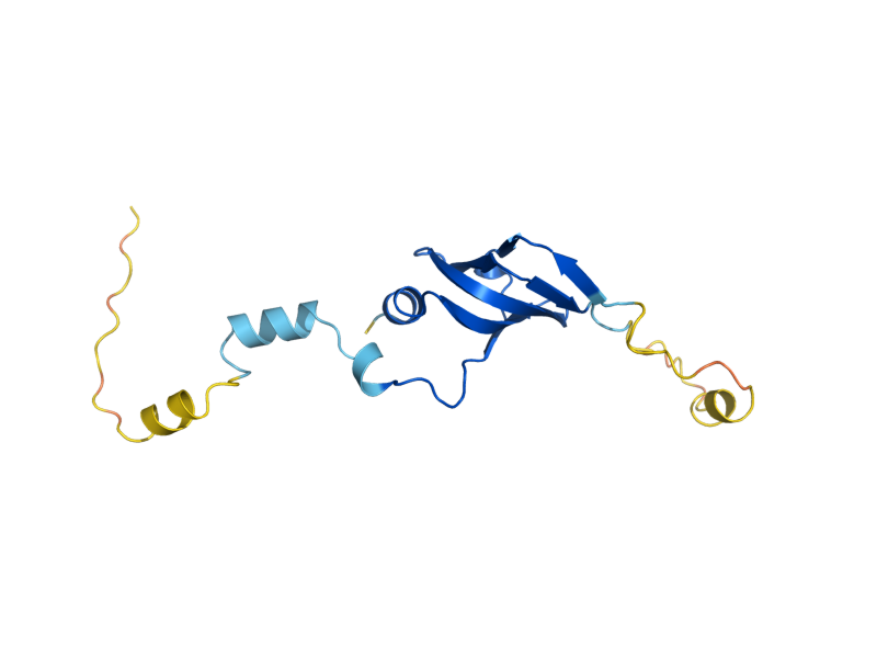 AlphaFold predicted structure of SMD1