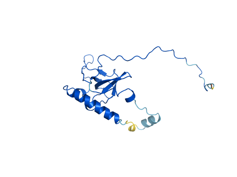 AlphaFold predicted structure of RPL6A