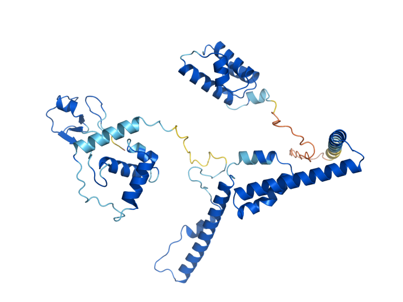 AlphaFold predicted structure of ADA2