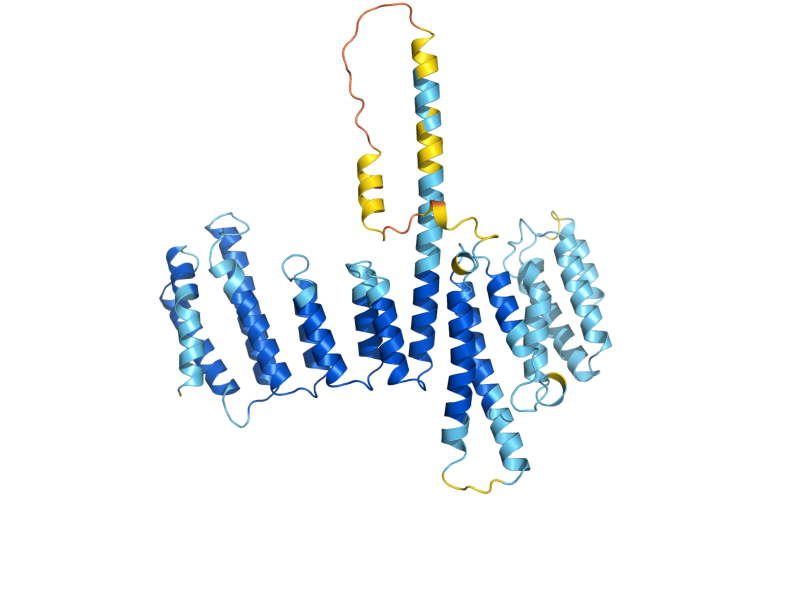 AlphaFold predicted structure of UTP6