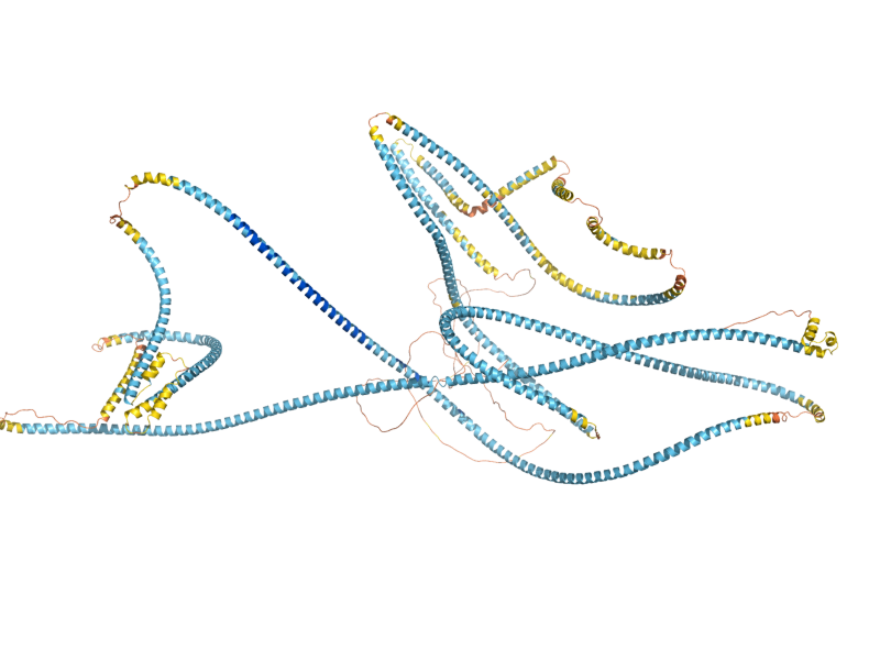 AlphaFold predicted structure of MLP1