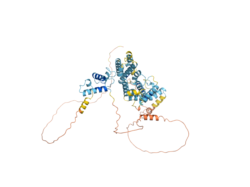 AlphaFold predicted structure of TBF1