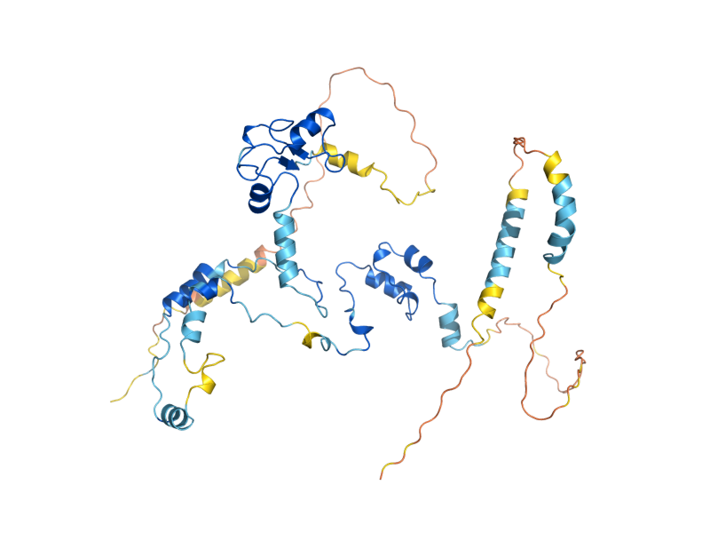 AlphaFold predicted structure of CUS1