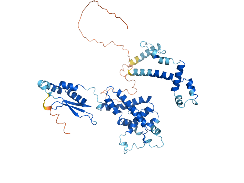 AlphaFold predicted structure of RNT1