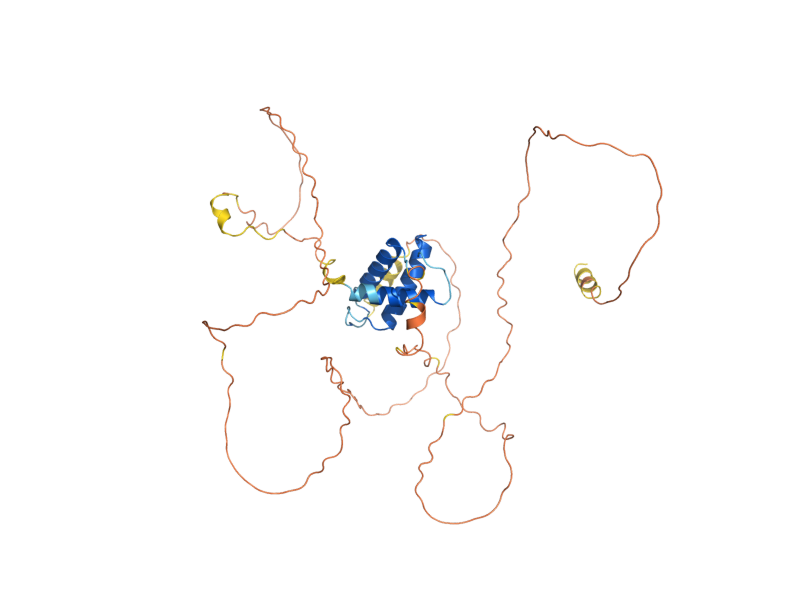 AlphaFold predicted structure of CIP1