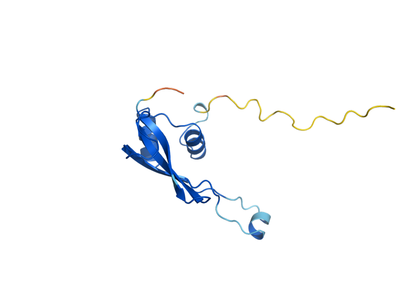AlphaFold predicted structure of MRPS16