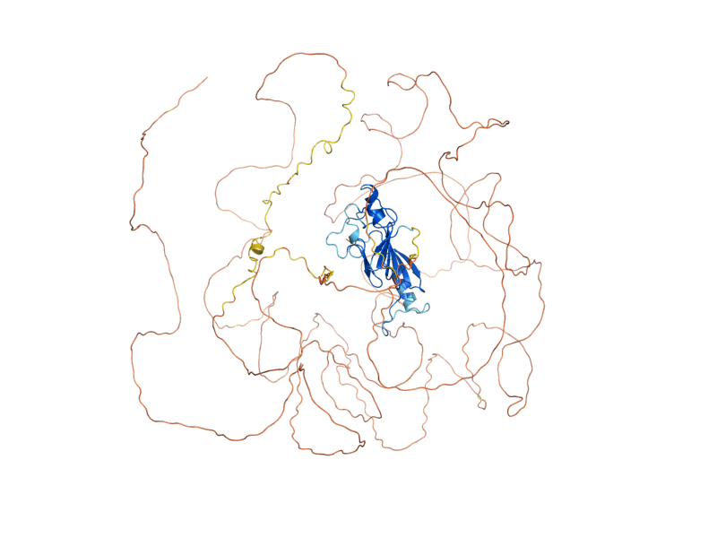 AlphaFold predicted structure of NUP100
