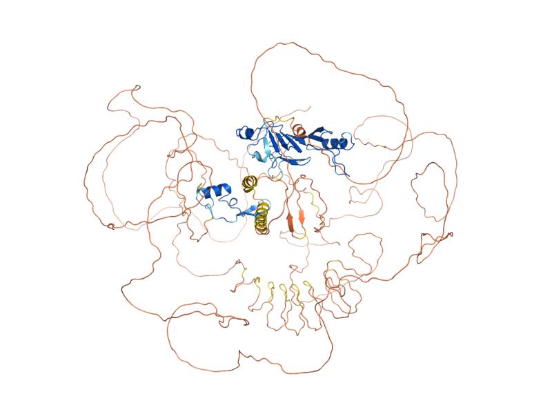AlphaFold predicted structure of NUP116