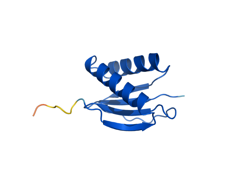 AlphaFold predicted structure of DYN2