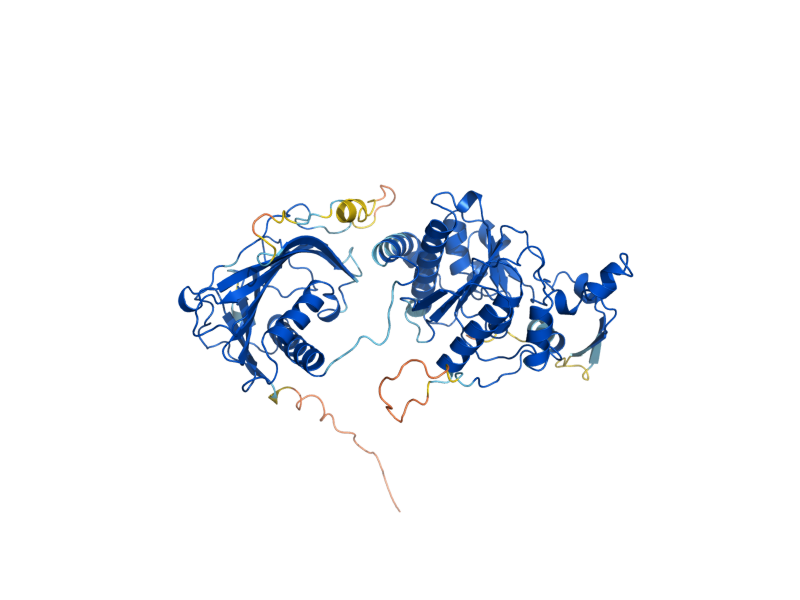 AlphaFold predicted structure of TRM44