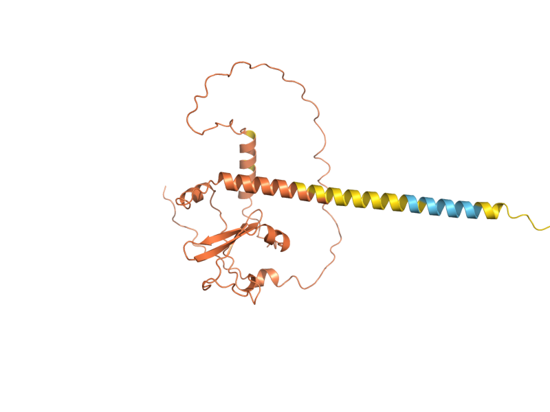 AlphaFold predicted structure of SMA1