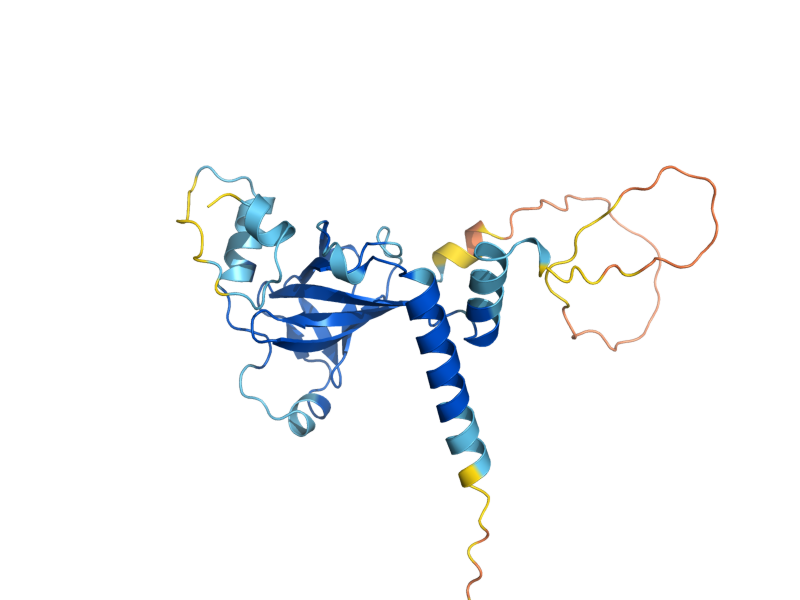 AlphaFold predicted structure of RMI1
