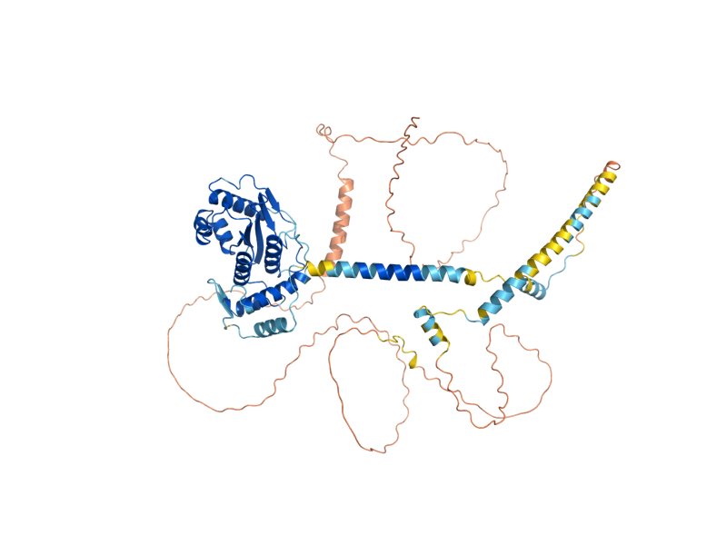 AlphaFold predicted structure of ULP1