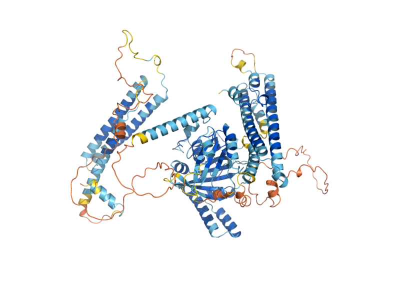 AlphaFold predicted structure of VTC3
