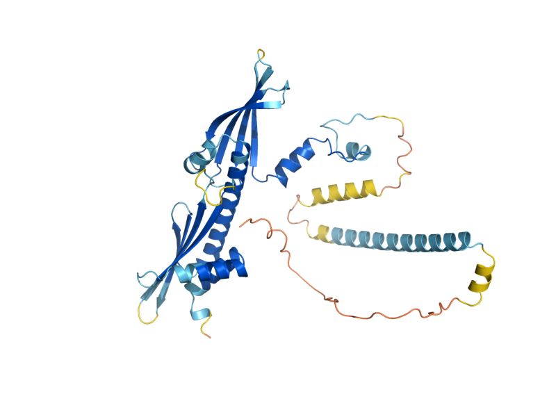 AlphaFold predicted structure of CTF19