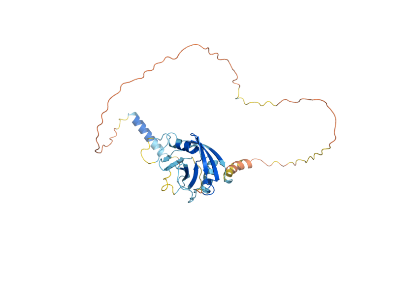 AlphaFold predicted structure of CWC27