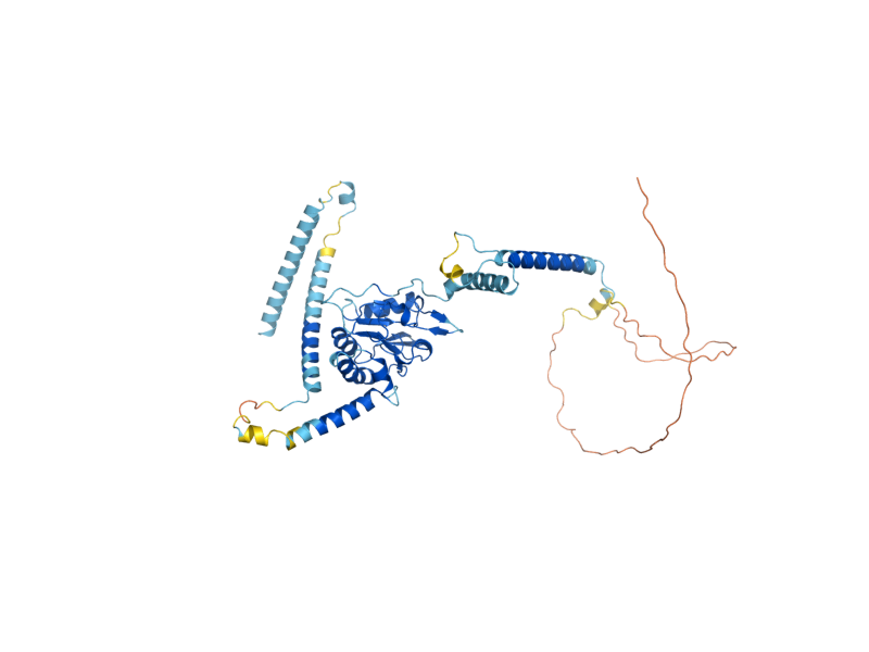 AlphaFold predicted structure of TIM50