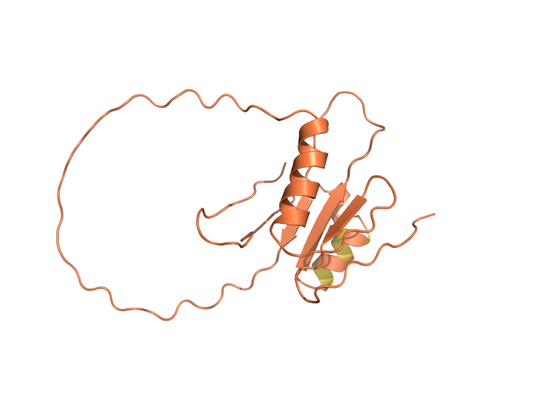 AlphaFold predicted structure of YPL062W