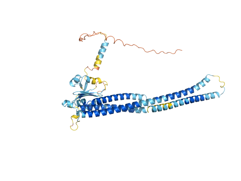 AlphaFold predicted structure of MFM1