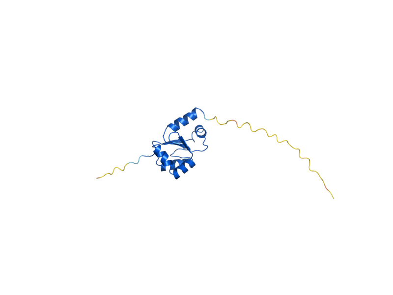 AlphaFold predicted structure of GRX5