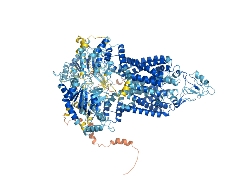 AlphaFold predicted structure of PDR12
