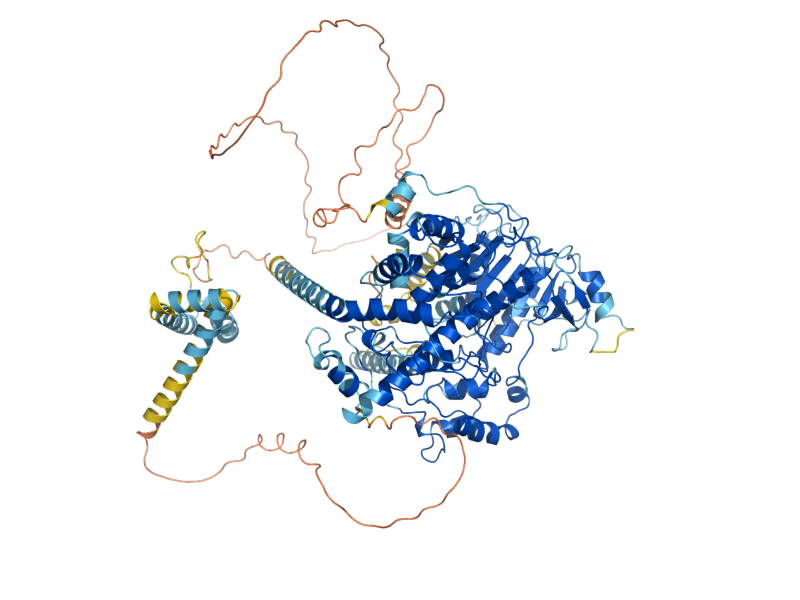 AlphaFold predicted structure of RAT1