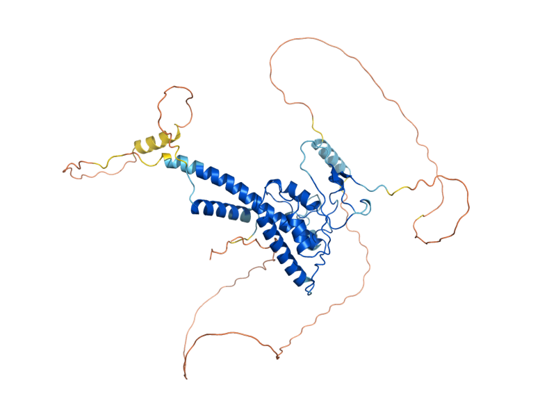 AlphaFold predicted structure of STD1