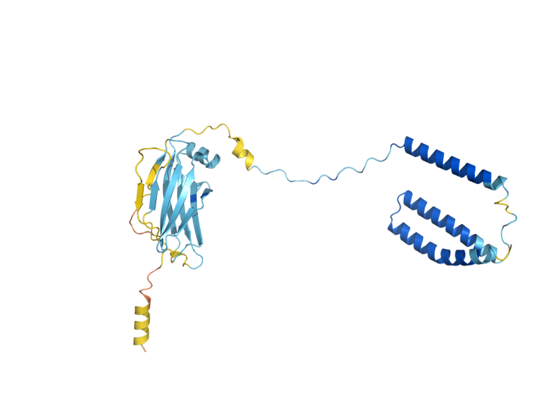 AlphaFold predicted structure of SWP1