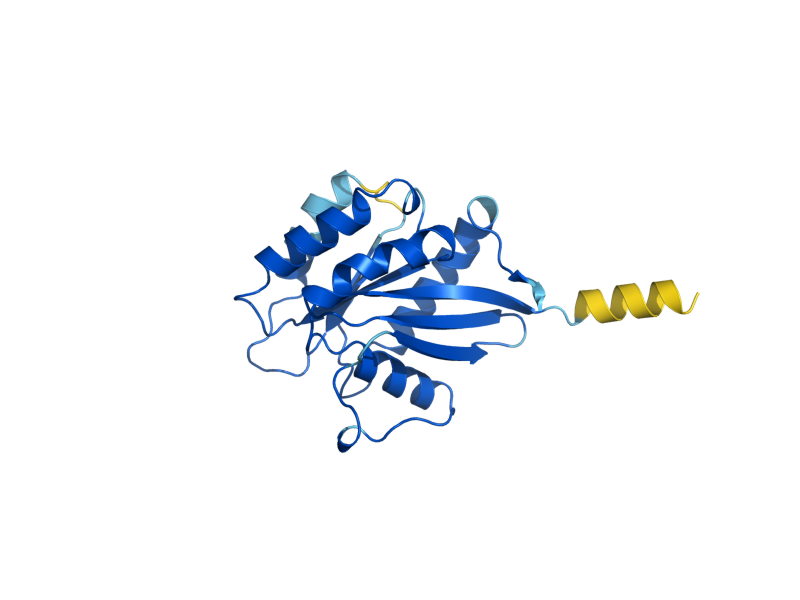 AlphaFold predicted structure of ARL3