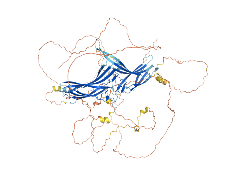 AlphaFold predicted structure of ROD1