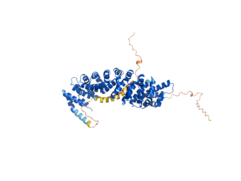 AlphaFold predicted structure of SRP1