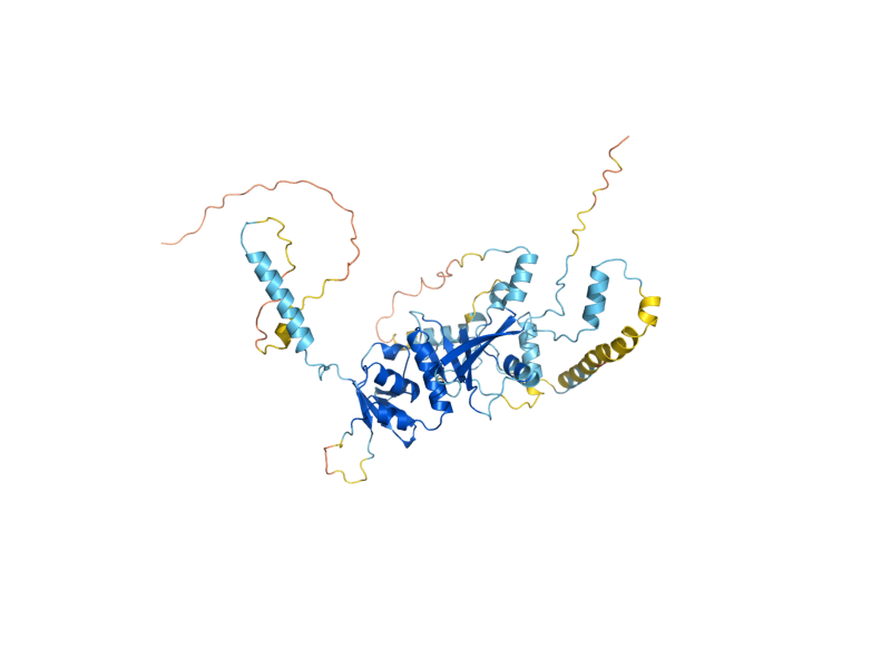 AlphaFold predicted structure of SEN54