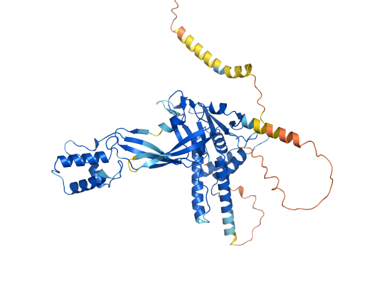 AlphaFold predicted structure of UBP16