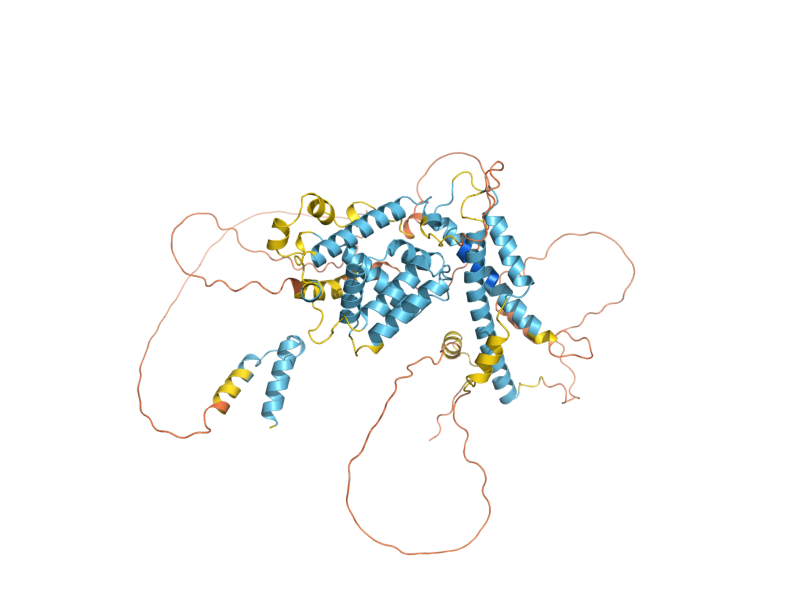 AlphaFold predicted structure of MUK1