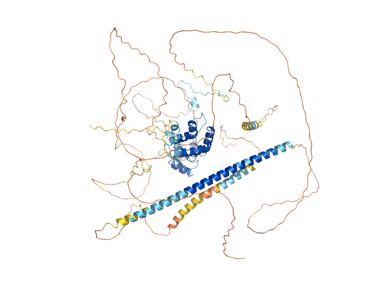 AlphaFold predicted structure of SYH1